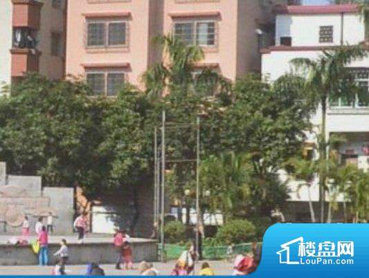 高明最新二手房价格资讯,与自然美景同行,探寻内心平和之旅