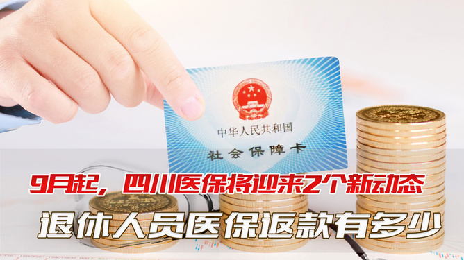 四川养老金最新动态,全面指南与操作指南详解