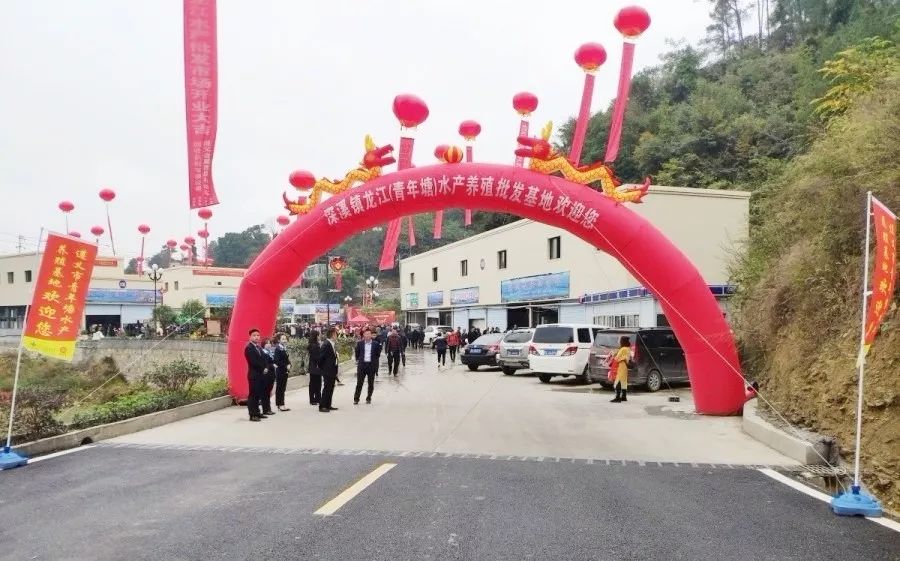 遵义深溪最新项目动态揭秘,小巷中的隐藏宝藏