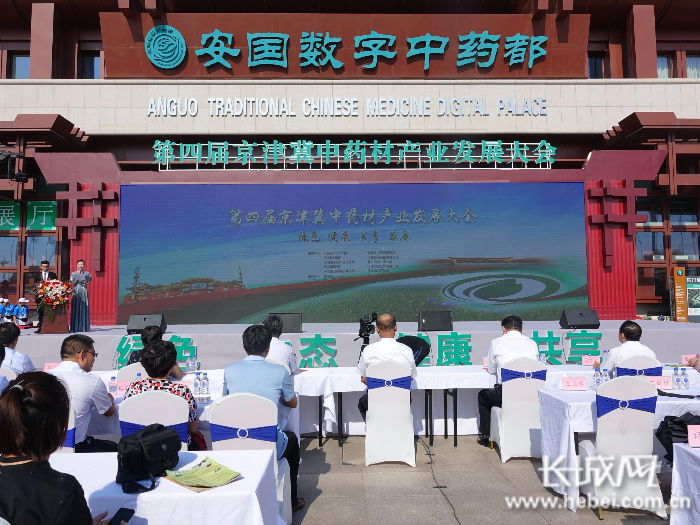 安国最新女工招聘,友情与工作的美妙交织