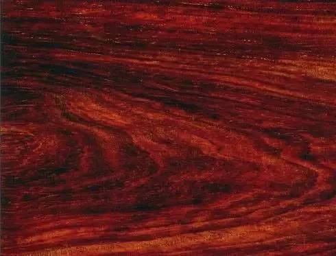 大红酸枝最新价格揭秘,小巷深处的宝藏探秘之旅