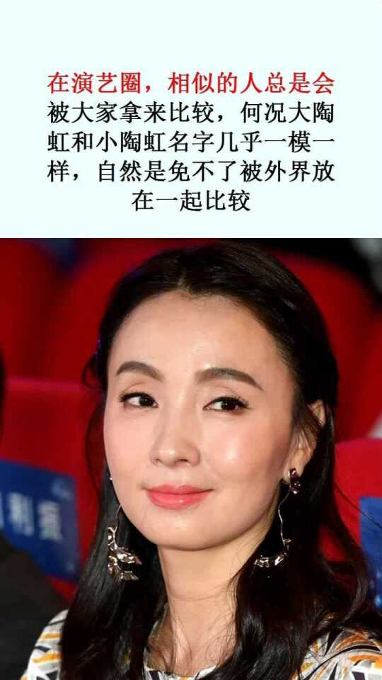 实力派女演员陶红的璀璨表演之路,多部电视剧作品回顾与解析