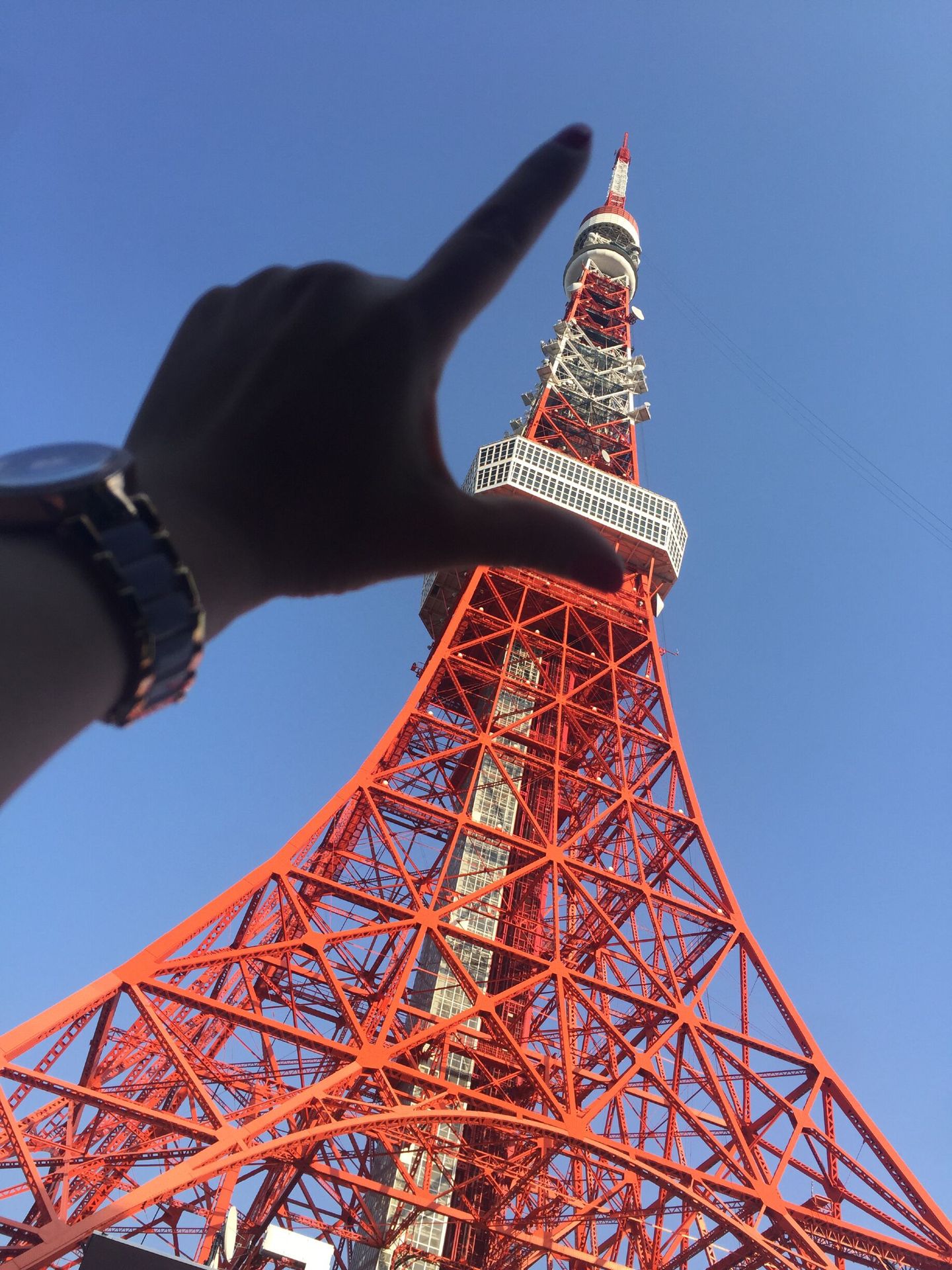 电影东京塔,探寻自然美景,寻觅内心宁静之旅