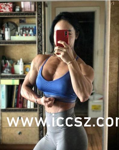 内衣办公室动漫全集下载,文化娱乐新探索的热门话题