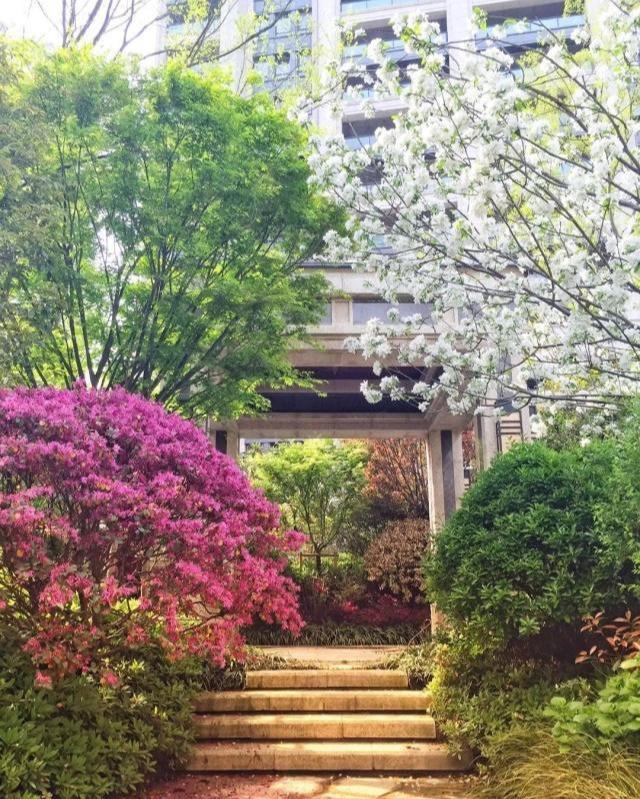 新明星花园二期,理想生活的全新篇章