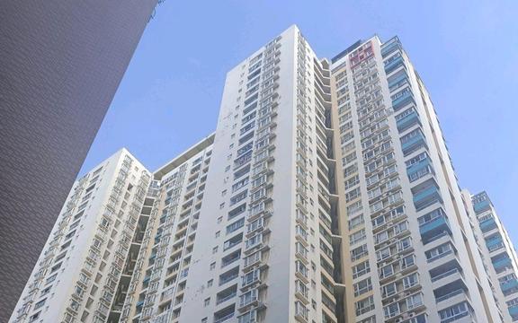 新加坡最新租房平台,革新居住选择的背后故事揭秘