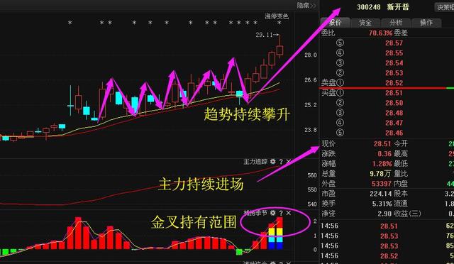 新开普股票行情,小巷中的隐秘宝藏,探索投资魅力的未知之旅