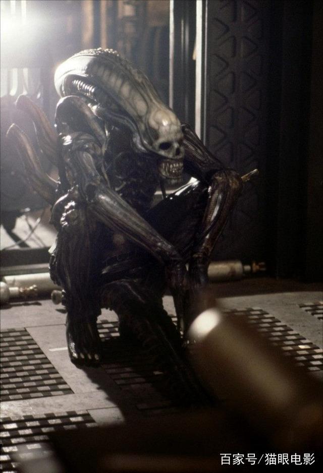 星际小子揭秘最新异形奇遇,最新异形资讯全掌握