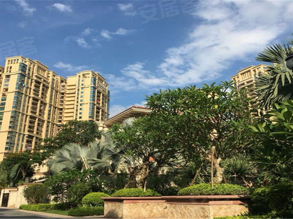 中澳滨河湾房价最新动态,家的温暖与最新房价信息解析