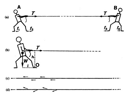 拔河比赛的受力分析图及其论述,揭秘背后的力学原理