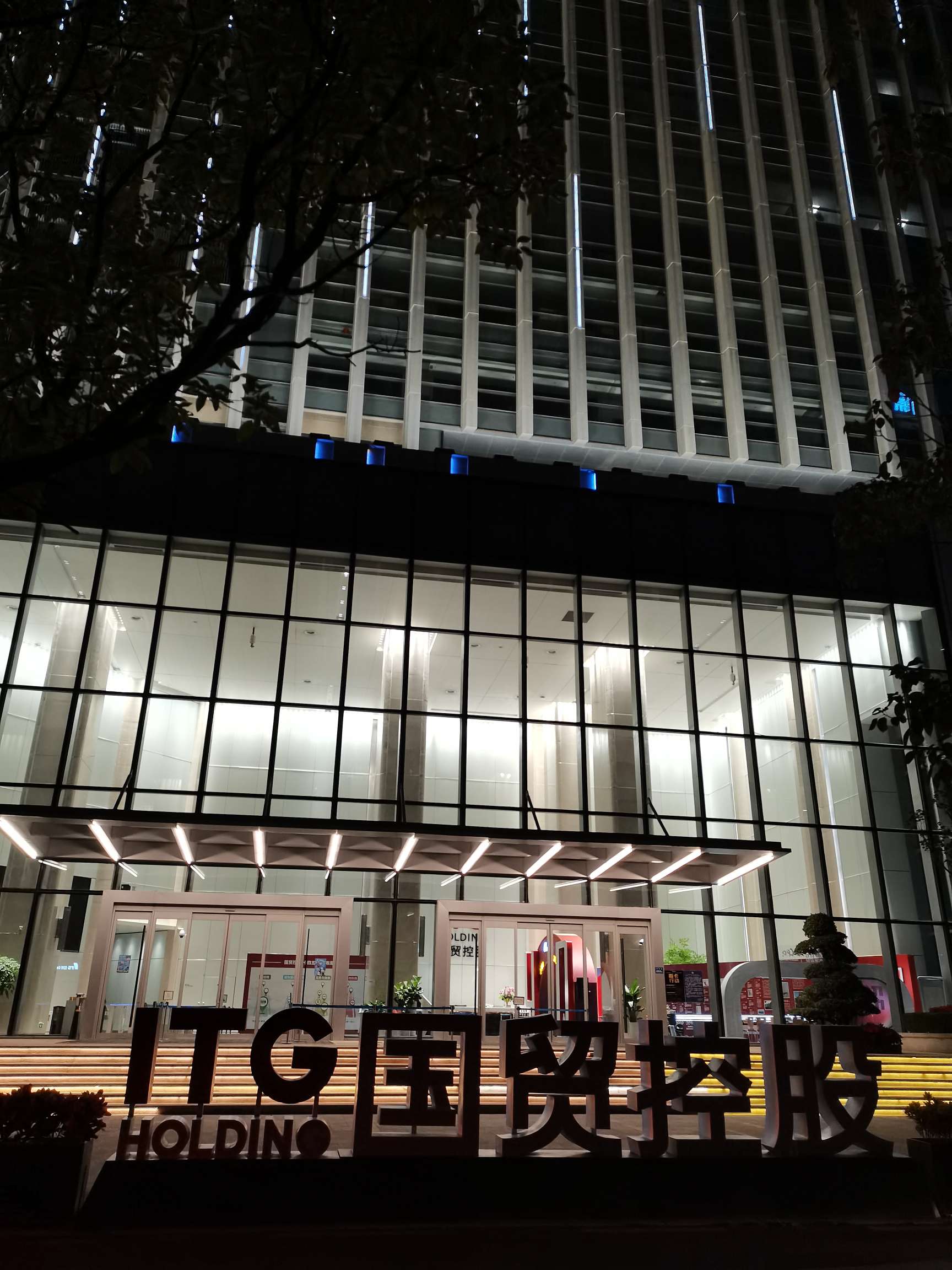 厦门国贸股票投资潜力与前景深度分析