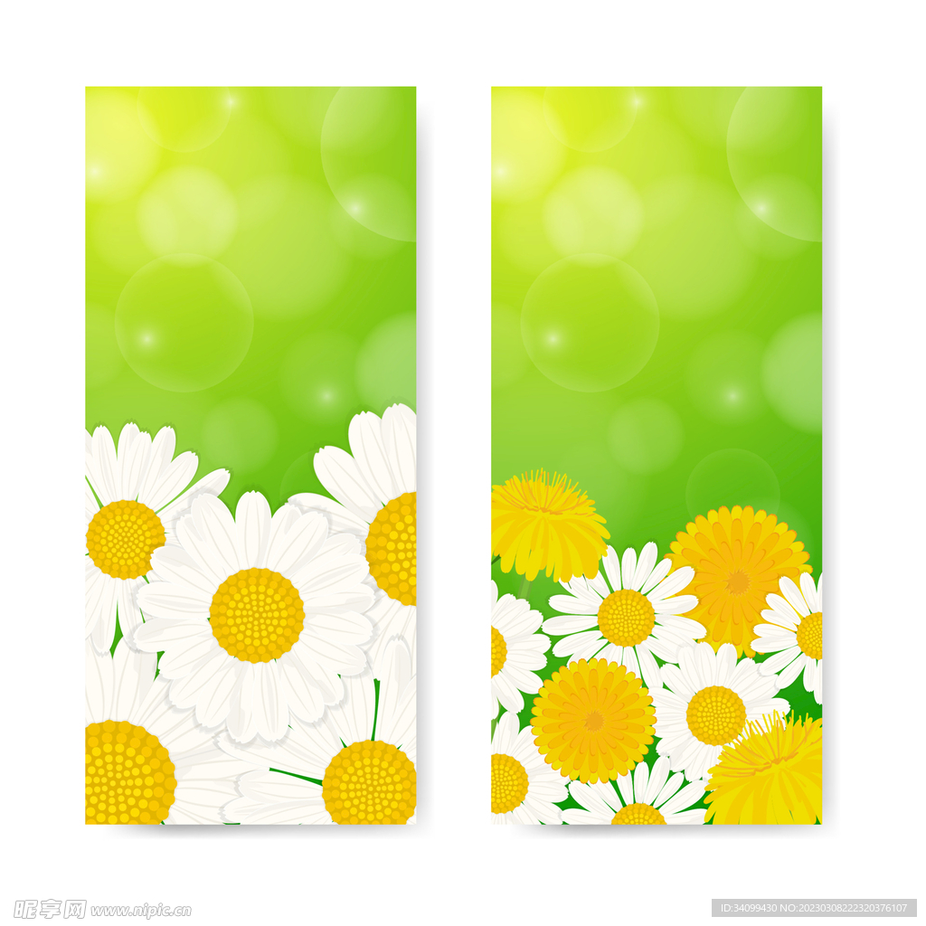 雏菊动漫制作步骤指南,从初识到成品的全过程解析