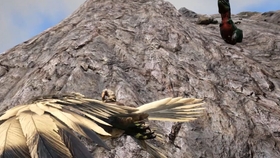 夜间猎兔行动实录,最新实况与行动步骤指南