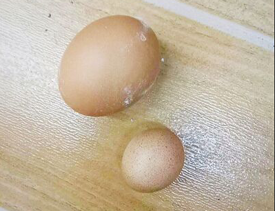 漯河鸡蛋现价查询,鸡蛋市场的微观观察与价格波动分析