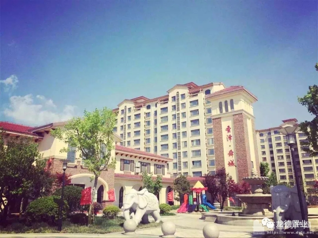 广饶圣泽舜城最新动态全解析,参与步骤指南,适合初学者与进阶用户关注