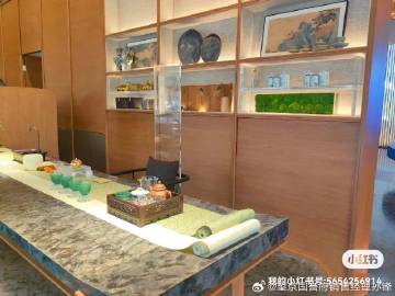 唯宝汇最新动态深度解析,最新观点与趋势分析