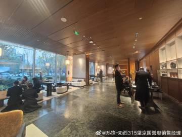 唯宝汇最新动态深度解析,最新观点与趋势分析