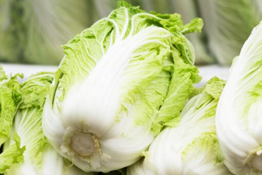 河北省大白菜价格行情解析——科技助力白菜行情尽在掌握