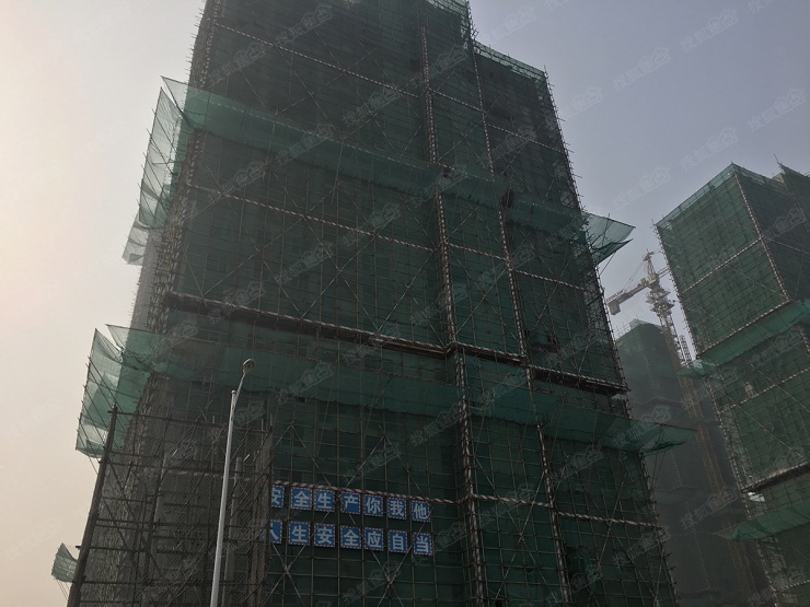 智高常春藤最新动态揭秘,完成学习任务的步骤指南