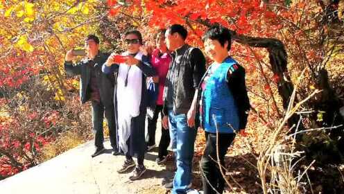 岫岩吧最新动态更新速递