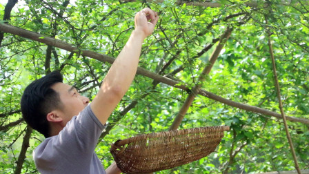 崇礼新鲜资讯,科技潮流引领,重塑生活体验新篇章