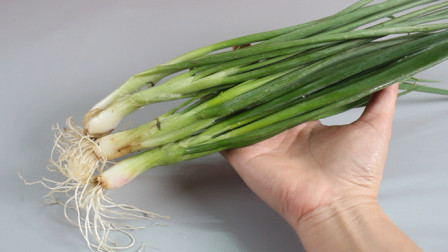 崇礼新鲜资讯,科技潮流引领,重塑生活体验新篇章