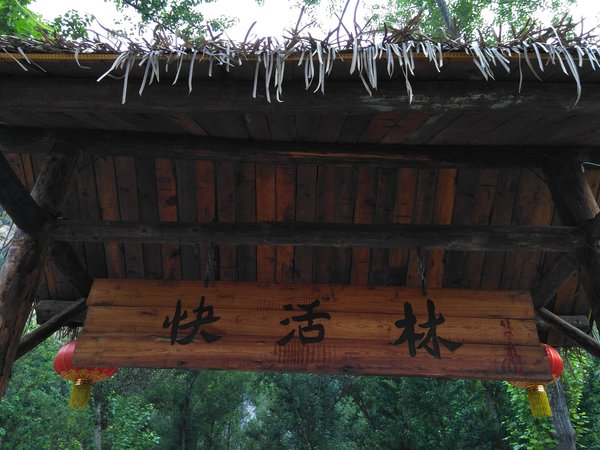 快活林资讯,自然与科技的和谐共生探索