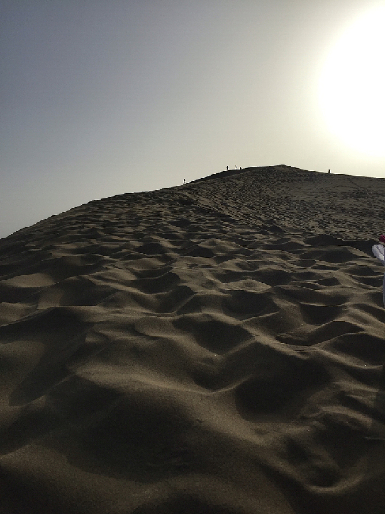 大漠最新,温馨有趣的日常故事