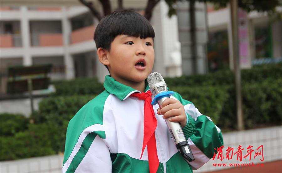 最新少先队入队誓词及其小巷深处的独特风味探索