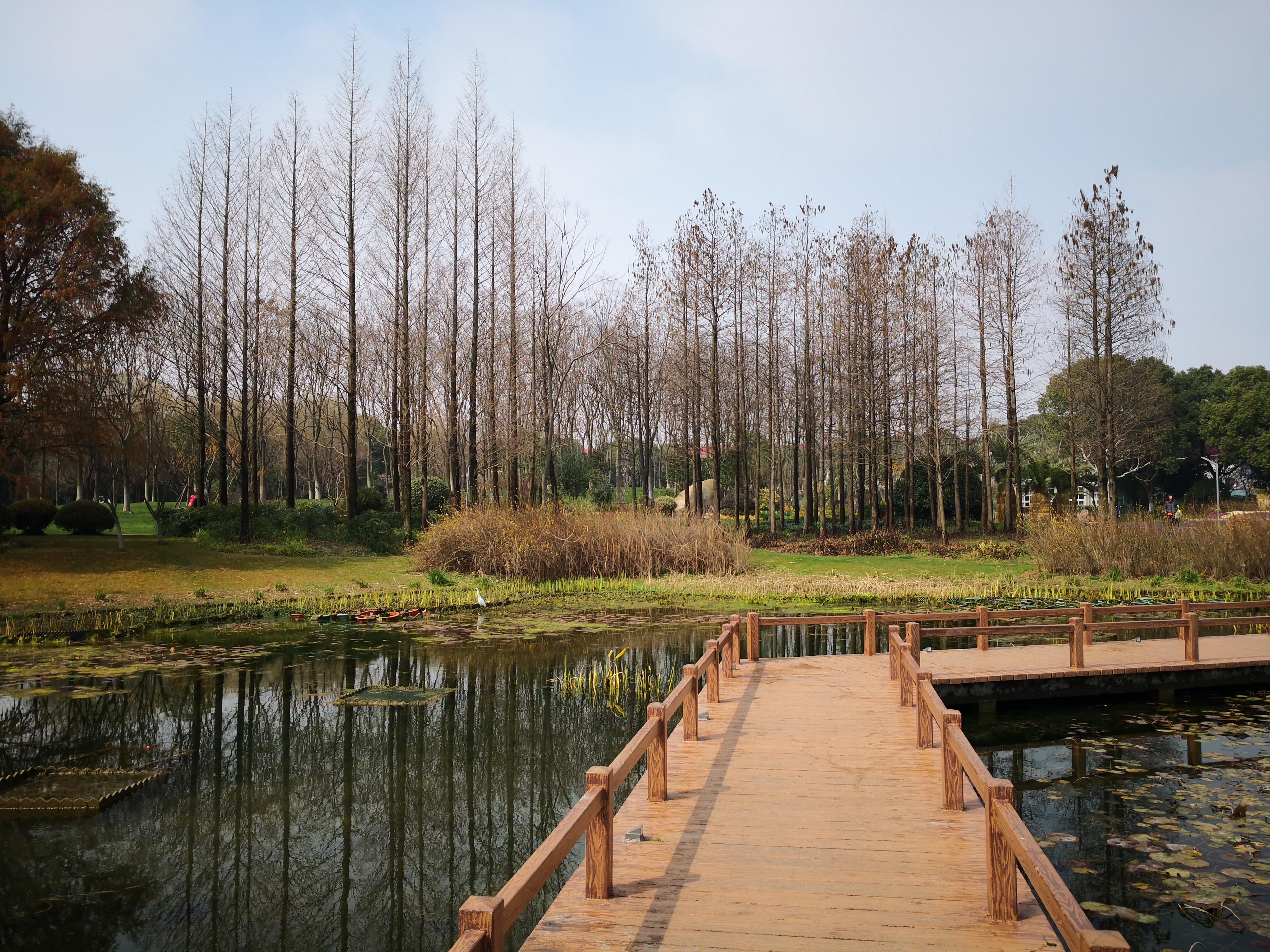 最新热带风暴中的温馨日常记录