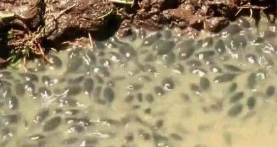 蝌蚪窝最新播放视频,变化中的学习带来自信与成就感