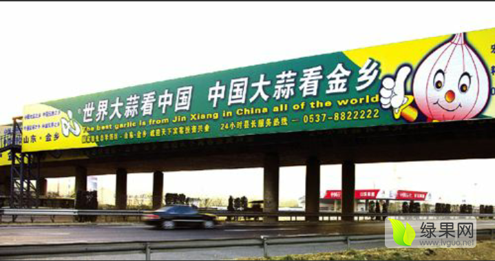 金乡大蒜今日价格及市场走势与影响因素分析