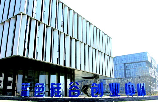 蓝色硅谷最新动态揭秘,日常趣事与温情纽带