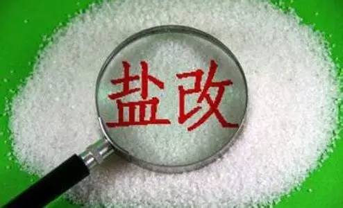 盐改最新动态及任务完成步骤指南