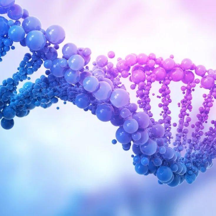 红斑狼疮最新疗法详解,观点阐述与解析