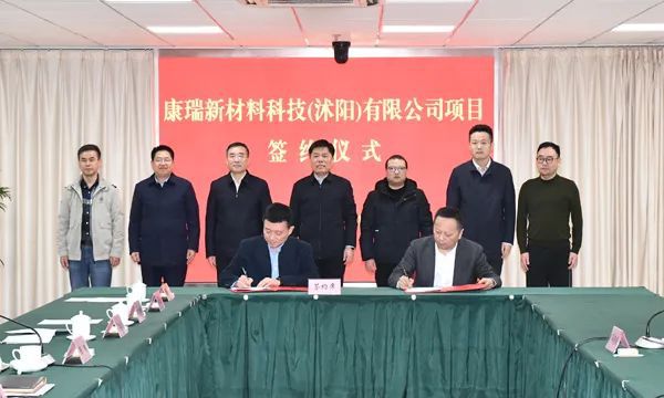 新沂必康最新消息全面解读与应用指南