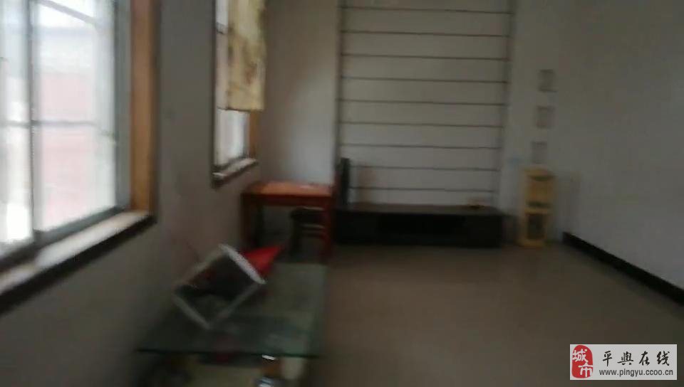 新县租房信息更新,最新房源动态与租赁资讯✨