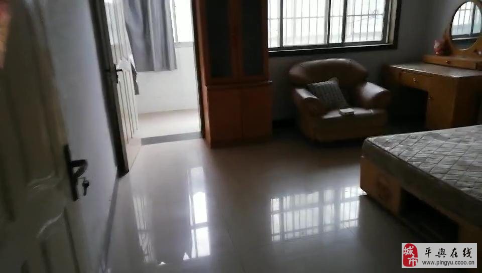 新县租房信息更新,最新房源动态与租赁资讯✨