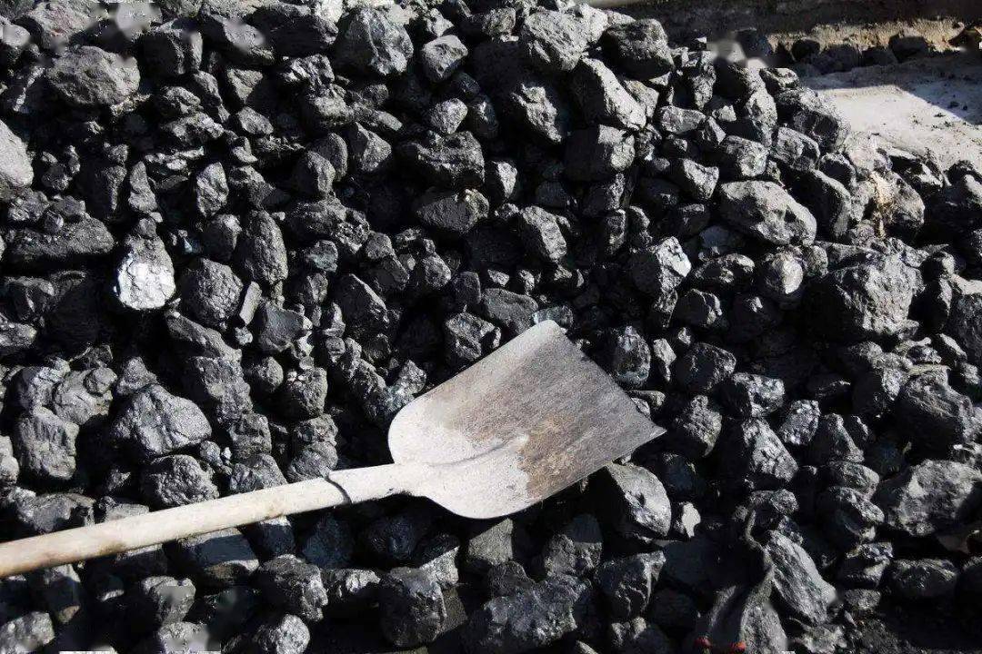 巷弄深处的煤炭宝藏探秘,最新动力煤与小店的独特故事