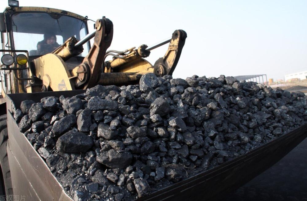 巷弄深处的煤炭宝藏探秘,最新动力煤与小店的独特故事