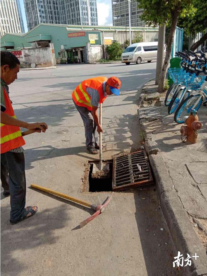 东莞台风最新消息,风雨中的温馨日常