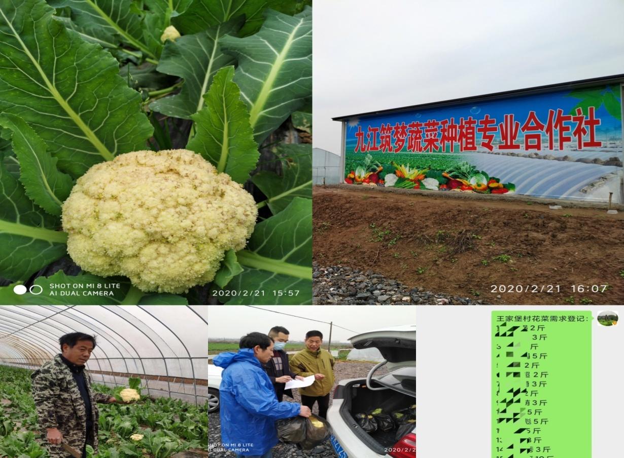 莱购最新,小巷深处的隐藏宝藏,探索特色小店的惊喜之旅