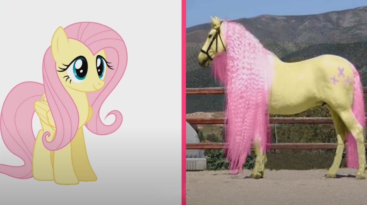 最新小马宝,娱乐与文化的完美交融盛宴