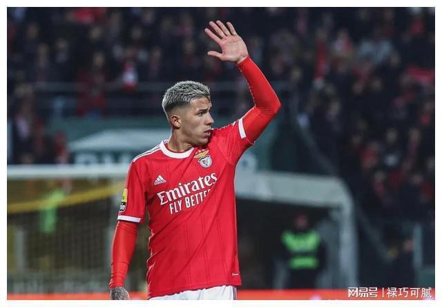 本菲卡最新阵容解析,如何跟上球队的最新变化动态?