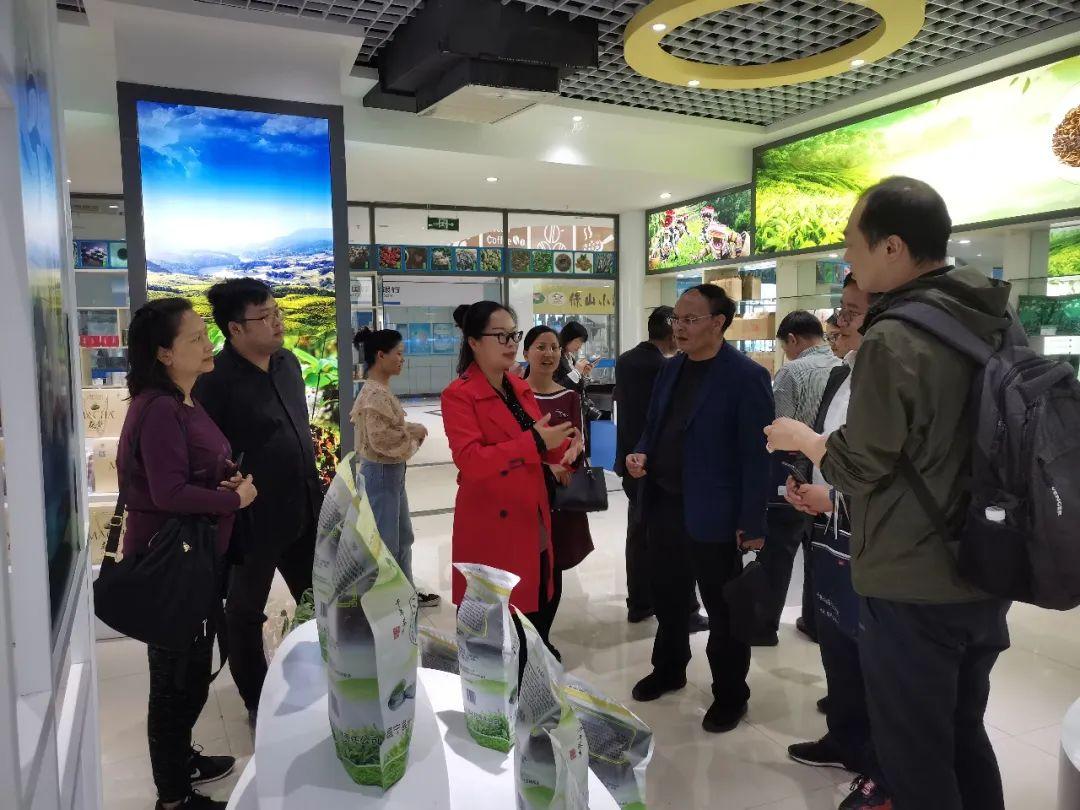 云南最新政策,拥抱自然,重拾内心的宁静与平和之路