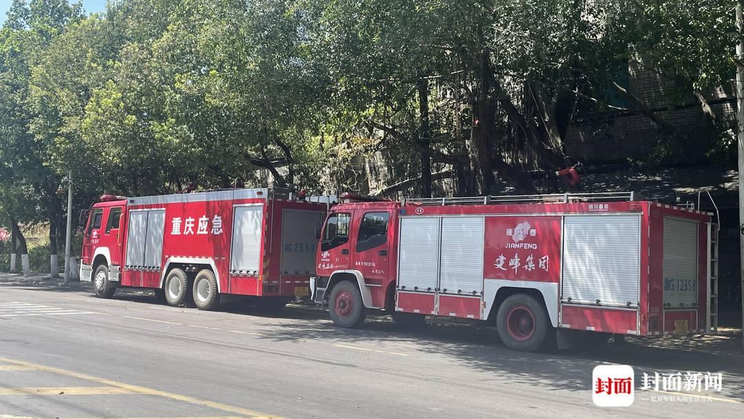 重庆涪陵最新新闻报道更新