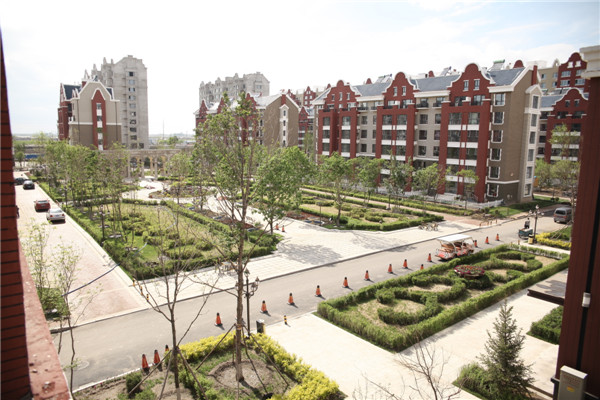 白城之窗最新动态更新