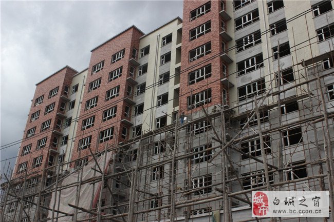 白城之窗最新动态更新