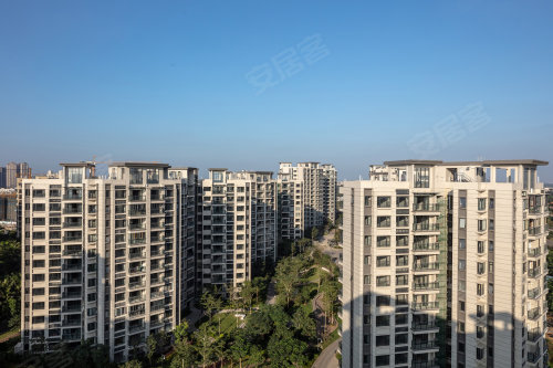 千江悦最新房价揭秘,房价走势与购房指南🏠✨