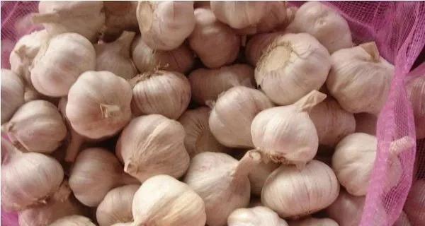 大蒜最新价格行情揭秘,市场行情与厨房秘密探秘